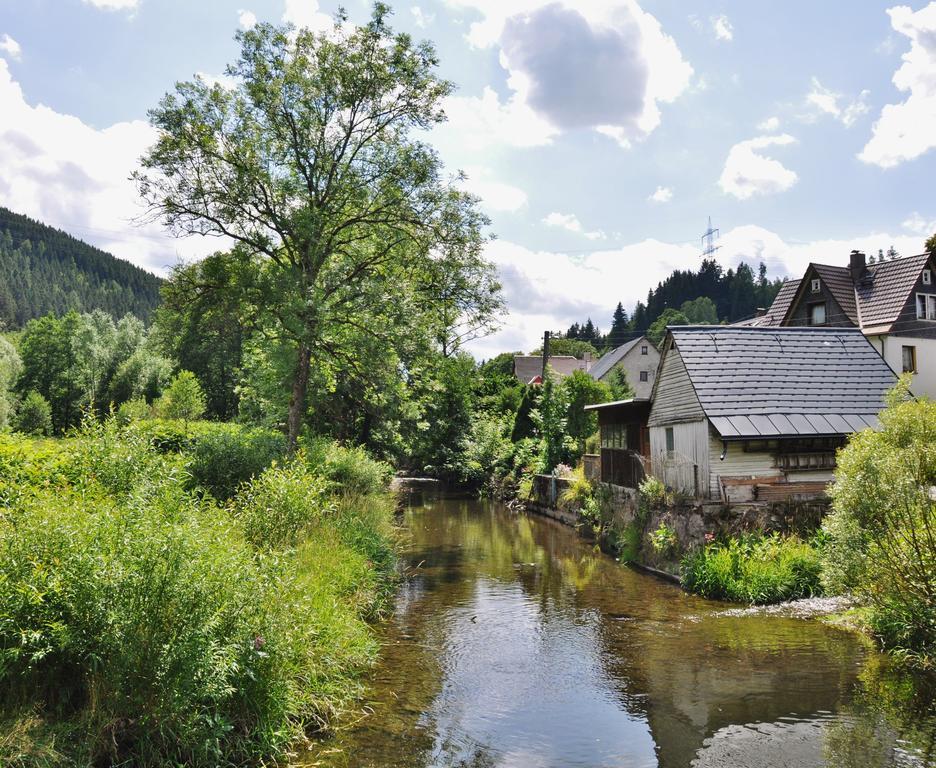 Flair-Hotel Waldfrieden Schwarzatal Экстерьер фото