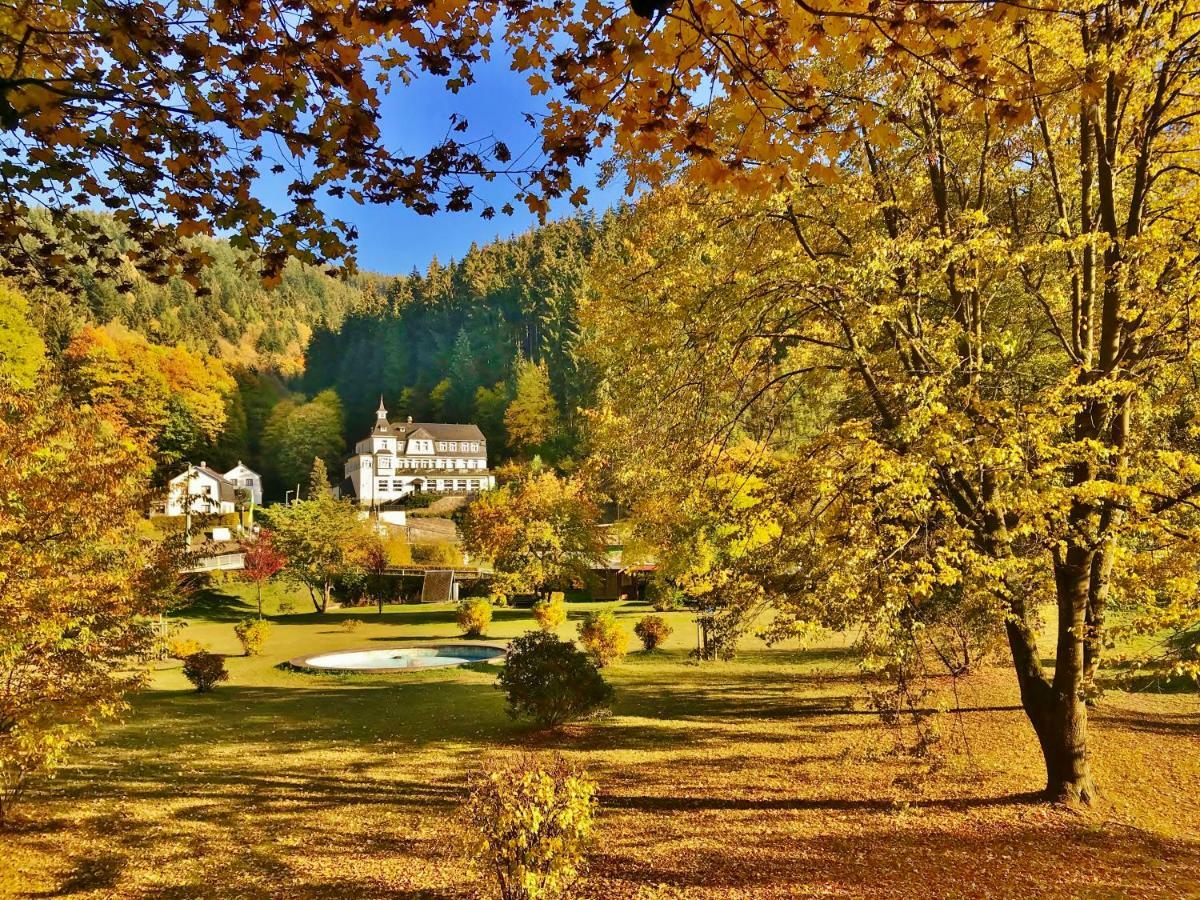 Flair-Hotel Waldfrieden Schwarzatal Экстерьер фото