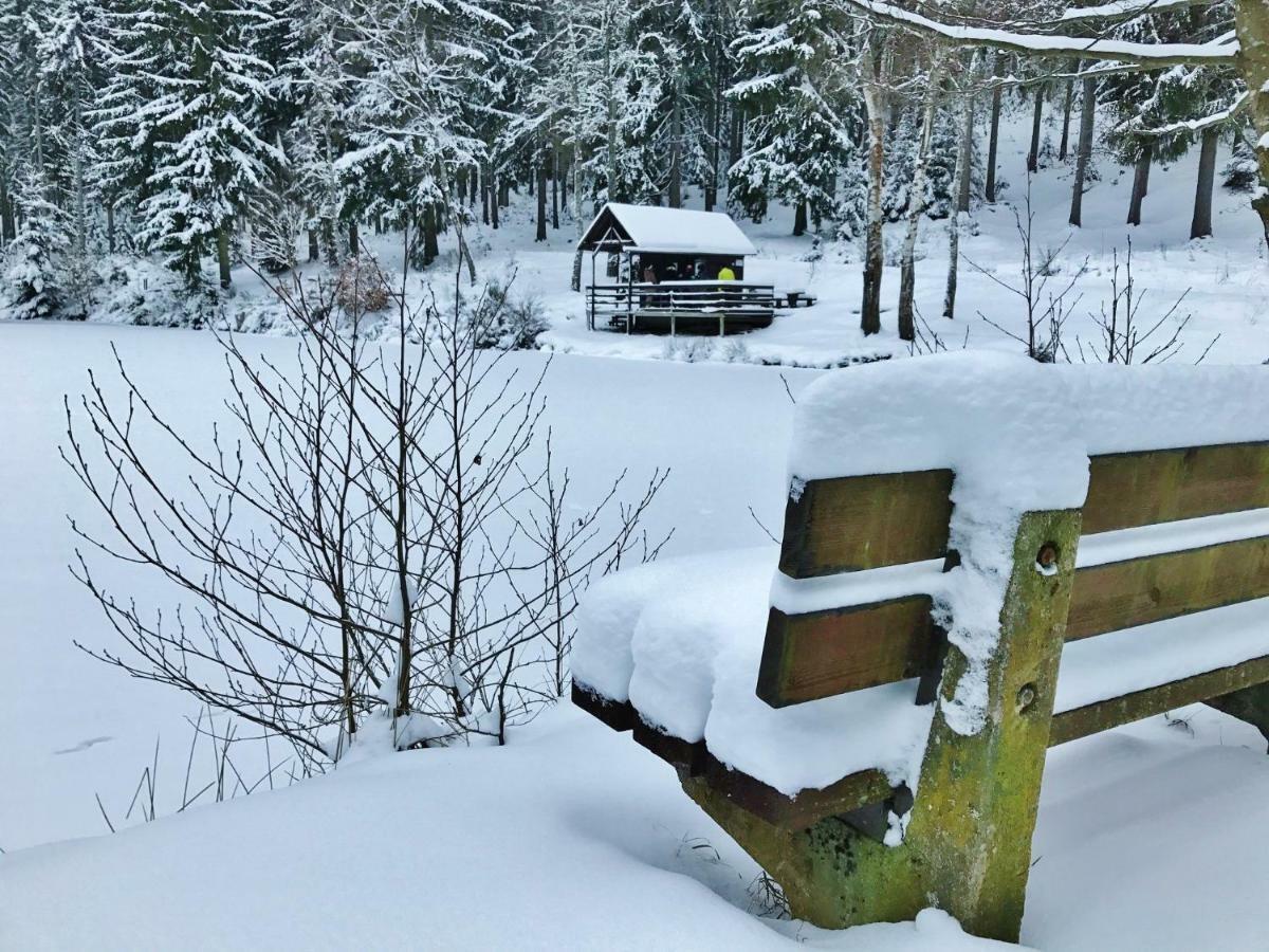 Flair-Hotel Waldfrieden Schwarzatal Экстерьер фото